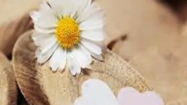 Видео про Семью/Любовь, Семья, Счастье