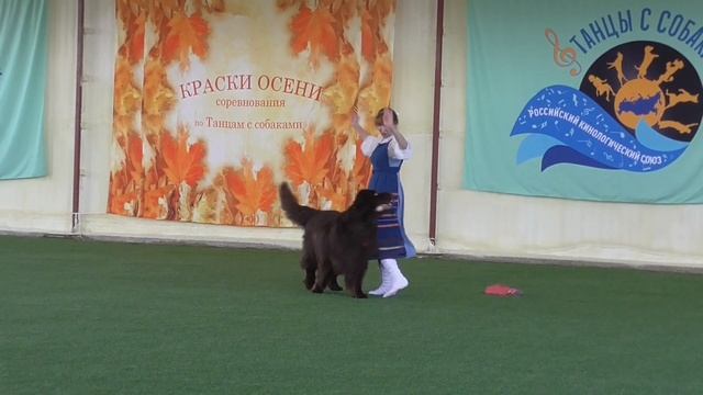 Новоселова Марина Мастер НТМ Акватория Келвин Конгениально Амбер Дансинг Мун Ньюфаундленд смотреть онлайн