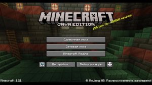 Играем в Minecraft 13