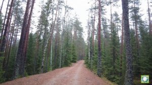 Живем в лесу без электричества и водопровода | Путешествия по России | Эко-отель Лес