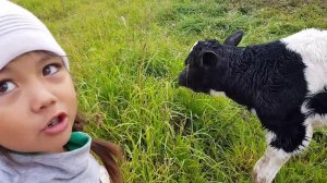 КАК РОДИЛА СЫНА В ПОЛЕ