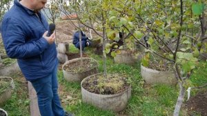 Питомники садовых растений в Московской области.