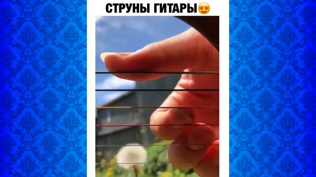 21 МИНУТА ОТБОРНЫХ ПРИКОЛОВ 2020 ЛУЧШИЕ ПРИКОЛЫ ржака до слез угар прикол - ПОКАЗАЛА КИСКУ? смотреть онлайн