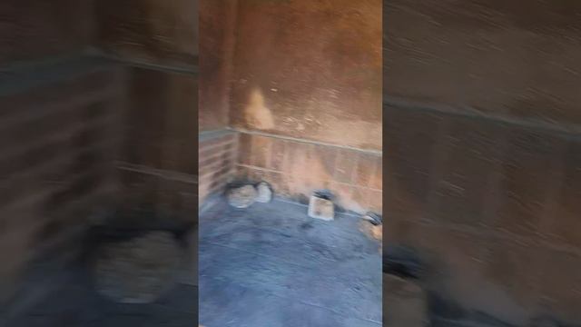 Где пожаpить мясо в Валенсии, как у нас когда-то на пикнике? Сейчас расскажу. смотреть онлайн