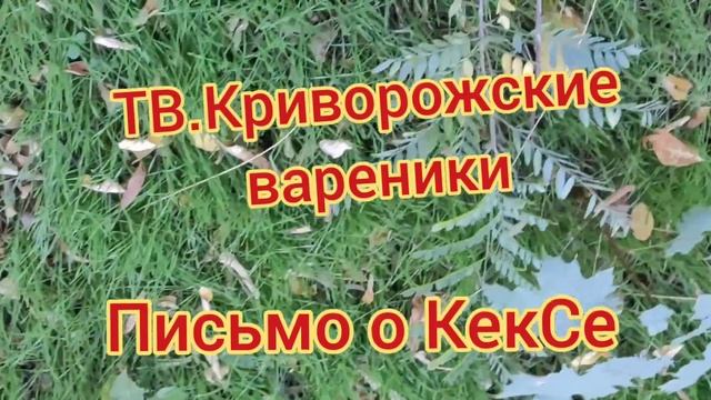 Письмо На Радио о КекСе... смотреть онлайн