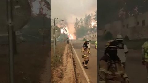 В центральной части Чили бушуют лесные пожары