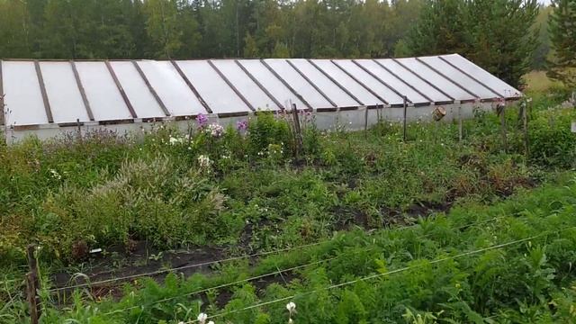 ОПЯТЬ ЛЬЁТ. ОБЗОР ОГОРОДА смотреть онлайн