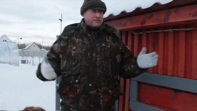 Набор и хранение инкубационного яйца. Эффективный метод. смотреть онлайн