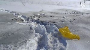 подготовка пасеки к облёту пчёл.mp4