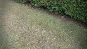 ΧΛΟΟΚΟΠΤΙΚΟ ΤΡΑΚΤΕΡ RIDER McCULLOCH M 125-85F