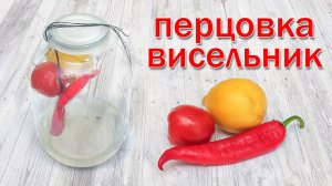 Настойка на самогоне/ Перцовка Висельник, рецепт от канала Свой Среди Своих кулинария