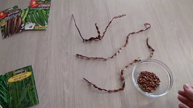 Подготовка и сбор семян, проверенных,неприхотливых растений,для будущей посадки.Часть1