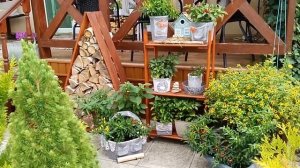 ? Оформление Входной Зоны Частного Дома Своими Руками #garden #сад