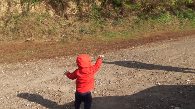 В голове туман. Что новенького на даче? 30.10.18 смотреть онлайн