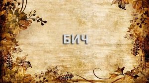 Бич ? - что такое Бич и как пишется слово Бич