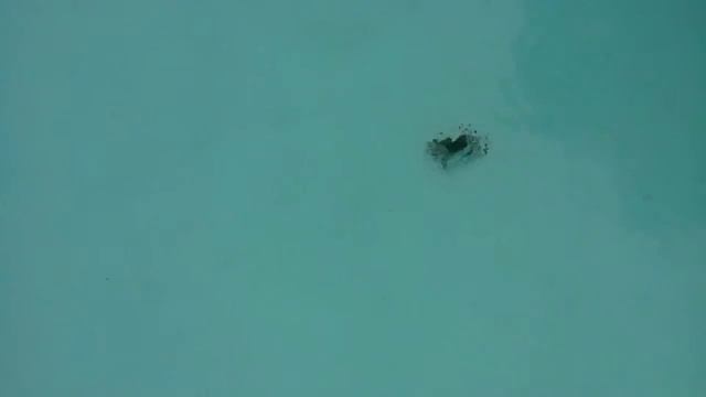 Замечательный сосед смотреть онлайн