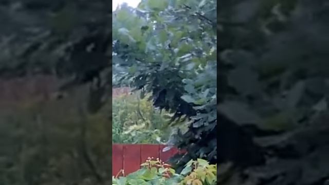 Необычное явление, сняли на видео шаровую молнию