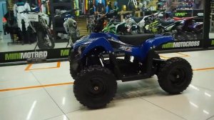 Электро-мотовездеход квадроцикл Apollo RFZ E-KING KONG 1000W Синей