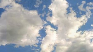 "Утренняя гимнастика"    В  Высоцкий