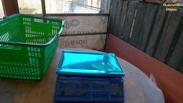 Вес крупного бройлера в 4 месяца. Выращиваю бройлера на мешанке.
