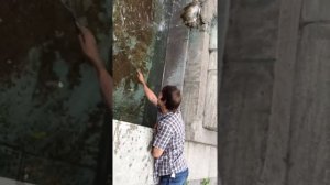 Как доставать мелочь из фонтанов.