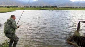 Рыбалка в Горах Азии Иссык Куль