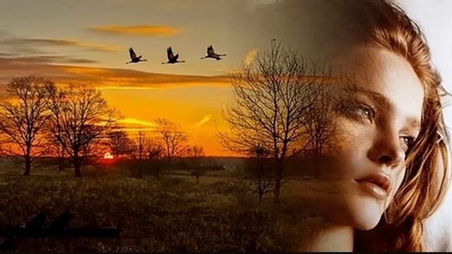 Слушать музыку расслабиться - музыка 1 час Relax смотреть онлайн