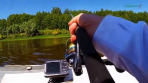 ДМИТРИЕВЫ ГОРЫ