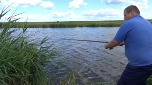 Удачная рыбалка на карася на фидер рыбалка в Новосибирской области река чулым рулит