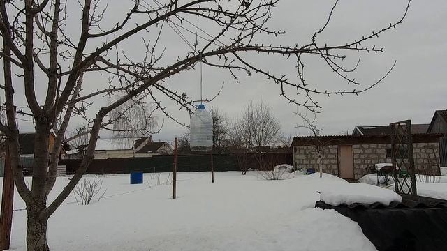 Птицы ранней весной, унылая пасмурная погода. смотреть онлайн