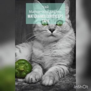 Утренний ритуал))) Чай Матча - Кордицепс Matcha Mix CORDYCEPS TaVie