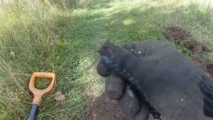 РАЗБИРАЮ БЛОК И ИДЕМ ПОКОПАЕМ С ТХ-950