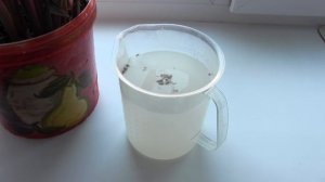 Цветы растут, как на ДРОЖЖАХ/Подкормка комнатных растений