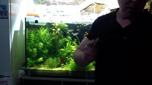 Понижение Ph с 8 до 6.5 - 7 в аквариуме смотреть онлайн