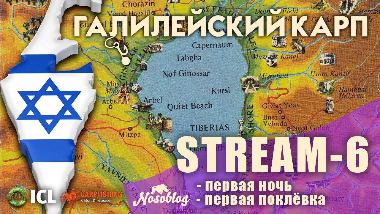 Галилейский карп 2020 (карпфишинг), выпуск 6, конкурс "Призеры турнира"