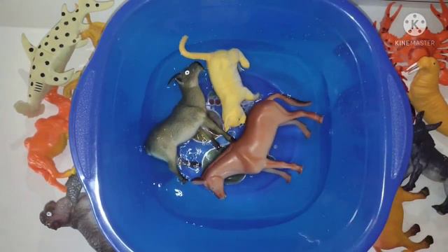 Учим животных на английском лошадь баран коза собака кошка