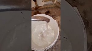 Газовая колонка goriney"Горинье"