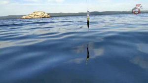 Воблер Yo-Zuri Duel 3D Quaet Wave Minnow 65F