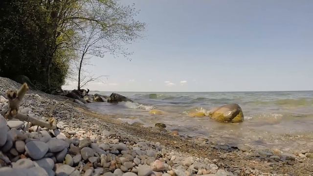 Francesco Geminiani - 6 Cello Sonatas, Op.5 - Concerto Grosso No. 1 in D Major смотреть онлайн