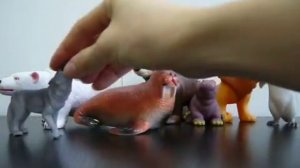 НАША КОЛЛЕКЦИЯ ДИКИХ ЖИВОТНЫХ (2 часть)