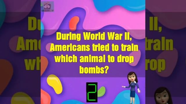 What is Liger? What is Tigon? Liger, tigon, crossbreeding animals, Facts смотреть онлайн