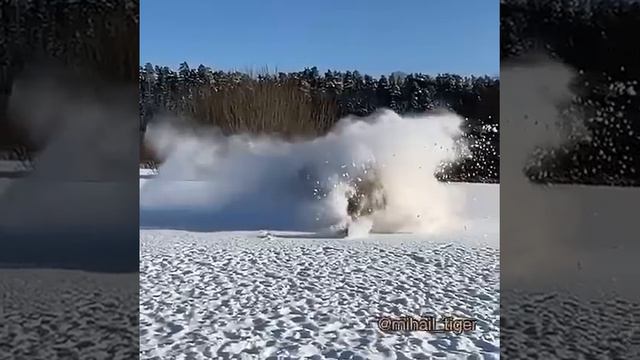 НЕЖДАННАЯ ВСТРЕЧА