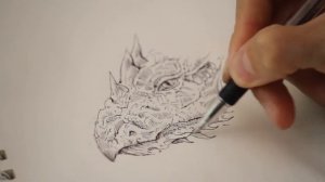 Drawing a Dragon Head in Pen & Ink - Time Lapse