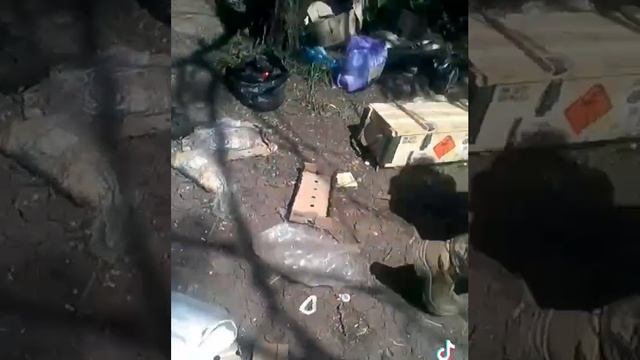Питание ВСУ. У меня бабушка в деревне хряка кормила лучше.