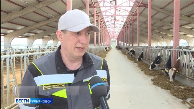 Беженцы из Мариуполя и переселенцы из Донбасса уже начинают трудиться на ульяновской земле.