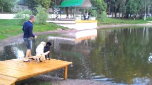 Витебск, парк железнодорожников