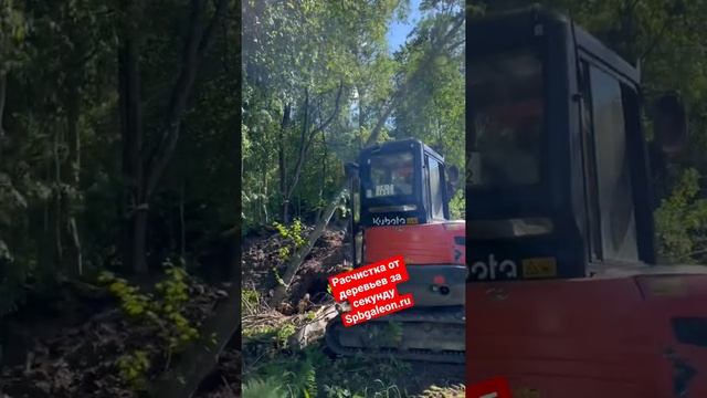 Как Сломать дерево #дача #строительство #дачныйвлог #благоустройство #экскаватор #beforeafter