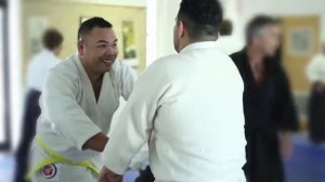 Danzan Ryu Jujitsu & Healing Arts