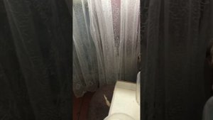 Сито для дроби