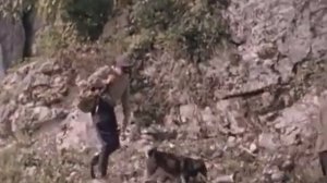 Тропой бескорыстной любви | кафедра охотоведения | охотовед.pw